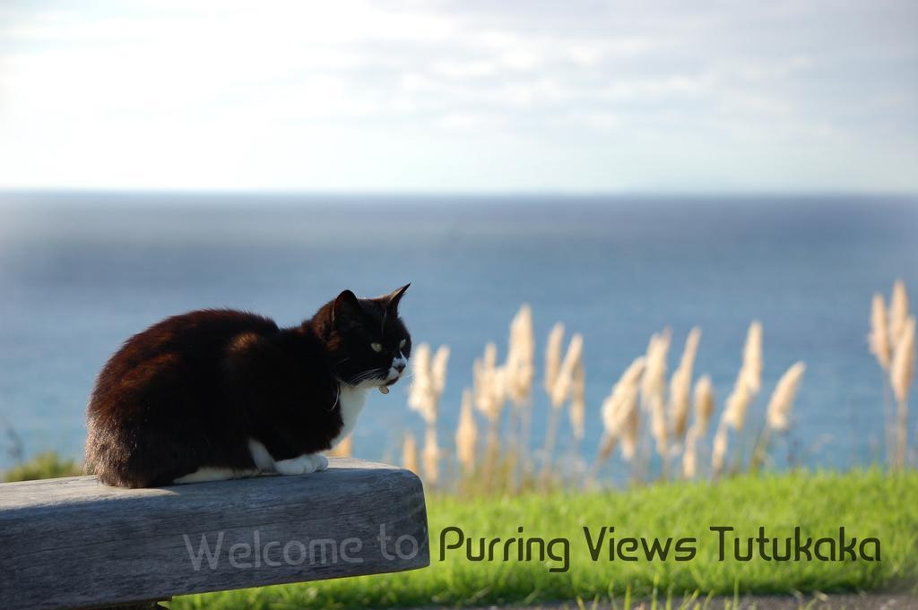 Hotel Ocean Purring Views Tutukaka Esterno foto